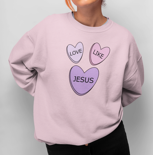 Light Pink Sweatshirt